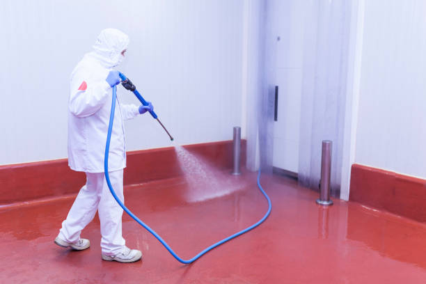 Best Pool Deck Cleaning  in Cetronia, PA