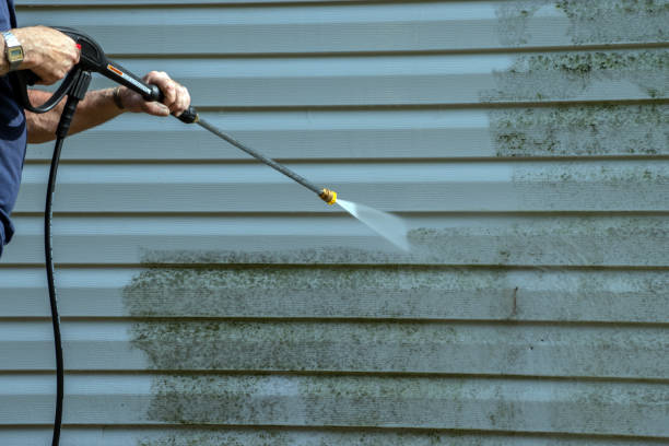 Best Gutter Cleaning  in Cetronia, PA